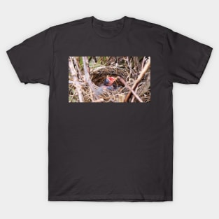 Hungry Baby Northern Cardinal In Its Nest With Its Mouth Wide Opened T-Shirt